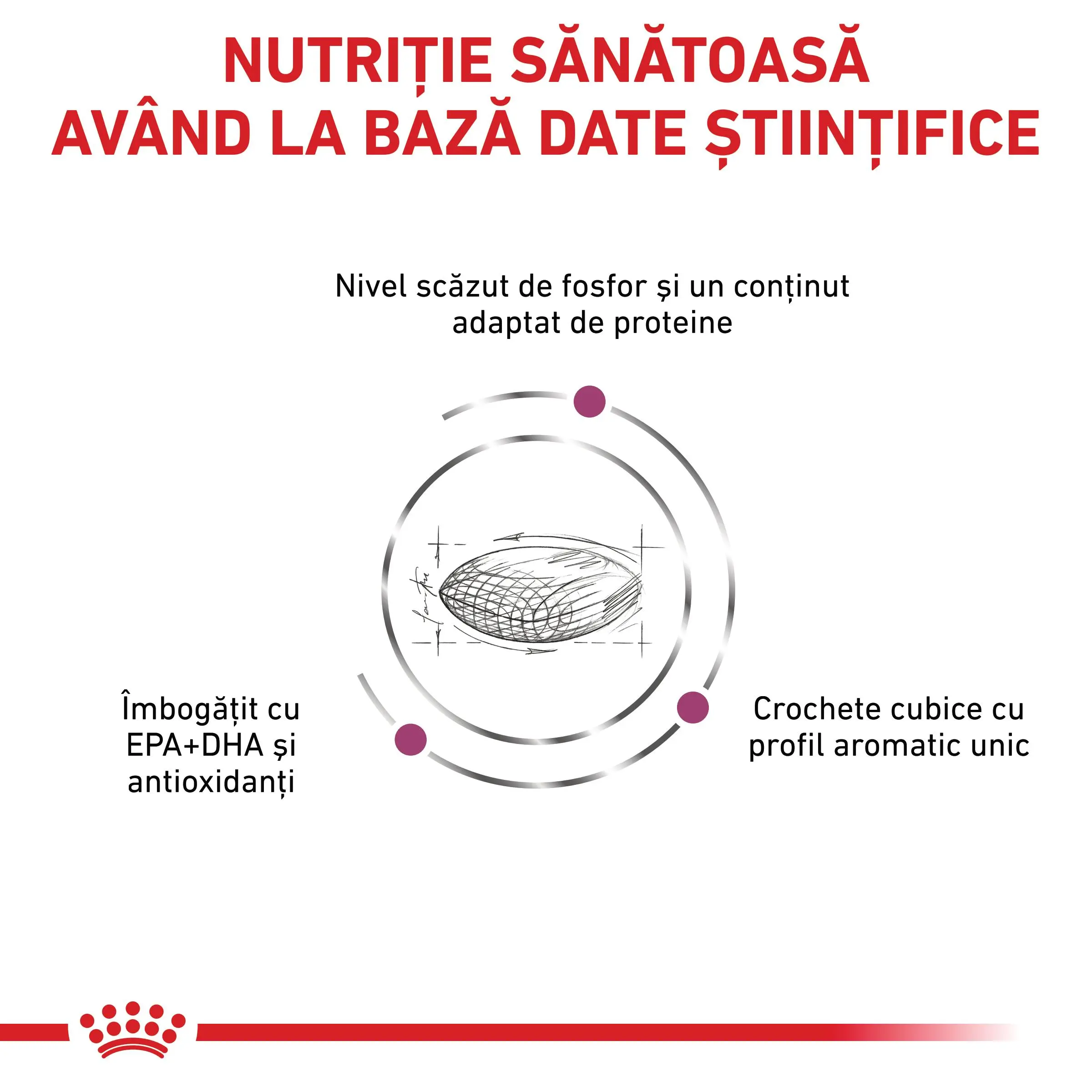 ROYAL CANIN VD Renal, XS-XL, dieta veterinara, hrana uscata caini, sistem renal, 2kg - Image 7