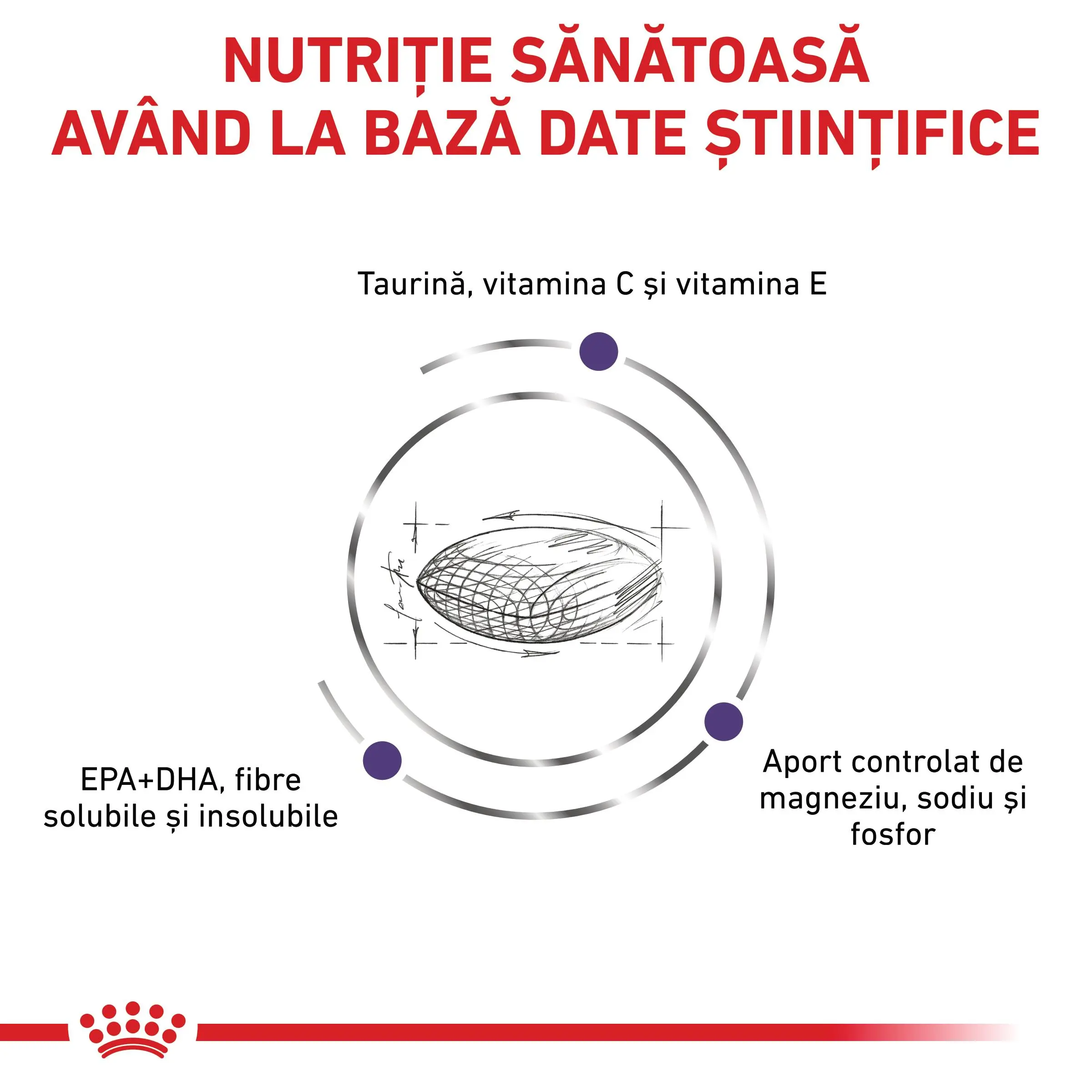 ROYAL CANIN VD Adult Cat, dieta veterinara, hrana uscata pisici, 8kg - Image 7