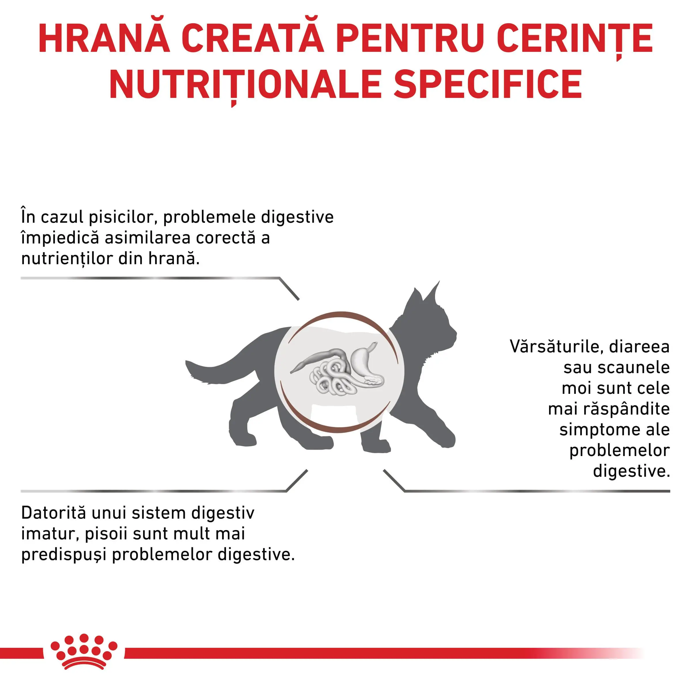 ROYAL CANIN VD Gastrointestinal Kitten, dieta veterinara, hrana uscata pisici junior, sistem digestiv, 2kg - Image 3
