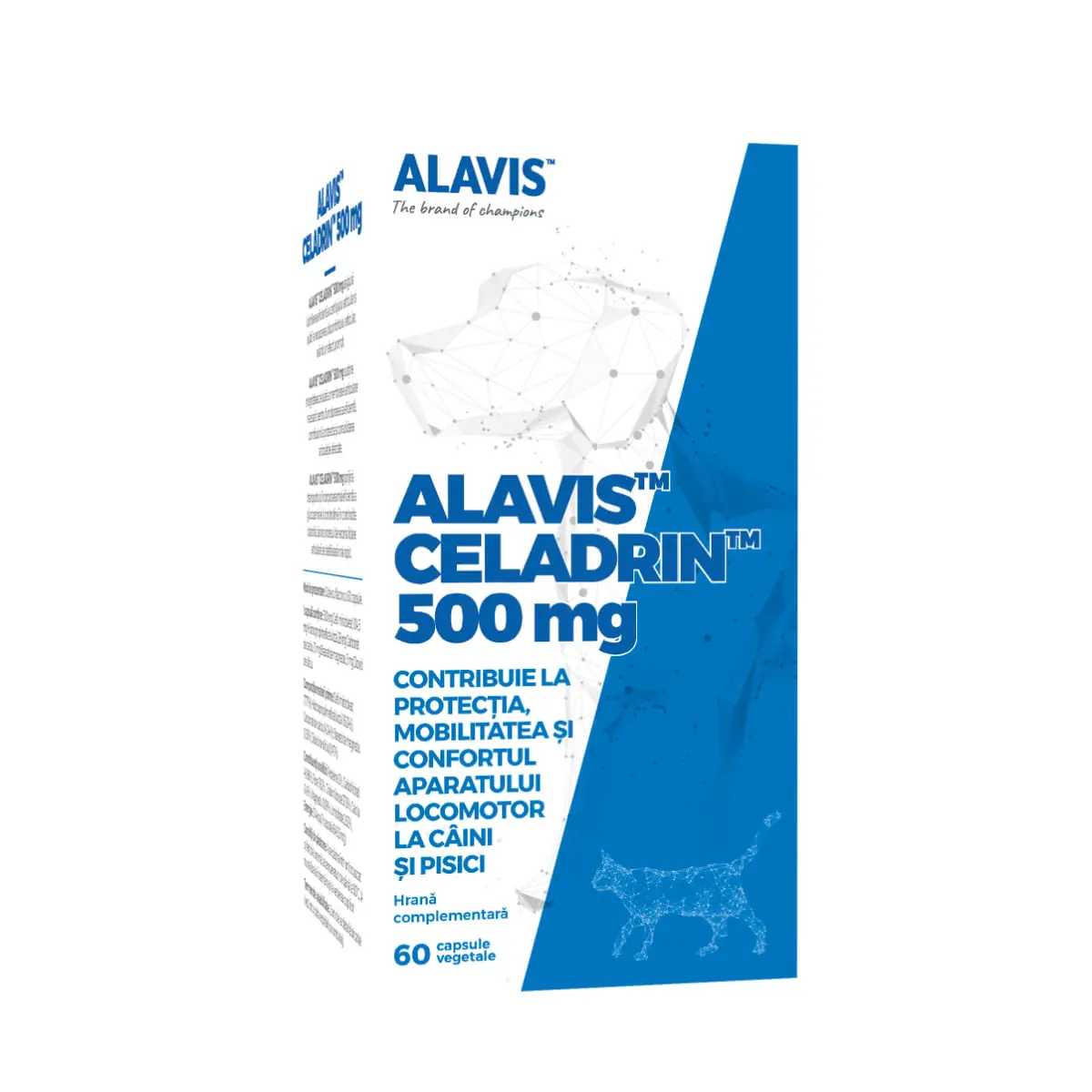 ALAVIS Celadrin 500mg, supliment sistem articular, sistem osos caini, capsule ALAVIS Celadrin 500mg, XS-XL, supliment sistem articular, sistem osos caini, flacon, 60 capsule - Image 2