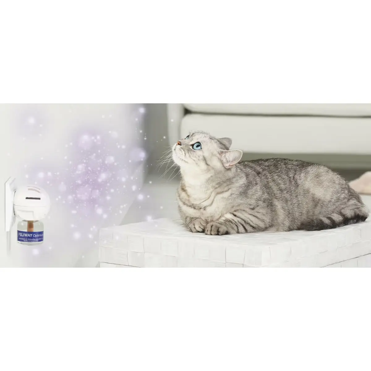 FELIWAY Optimum Diffuser si Rezerva, feromoni, sistem nervos & calmante pisici, 1buc + 48ml - Image 4