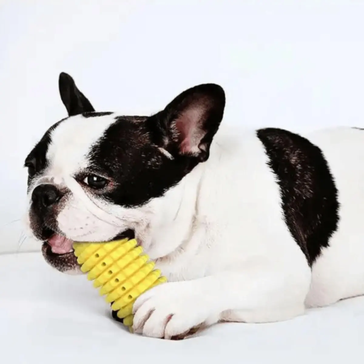 SHAW Porumb, jucarie de ros caini, dentitie, cauciuc SHAW Porumb, jucarie de ros caini S-L, dentitie, cauciuc, galben, 1buc - Image 4