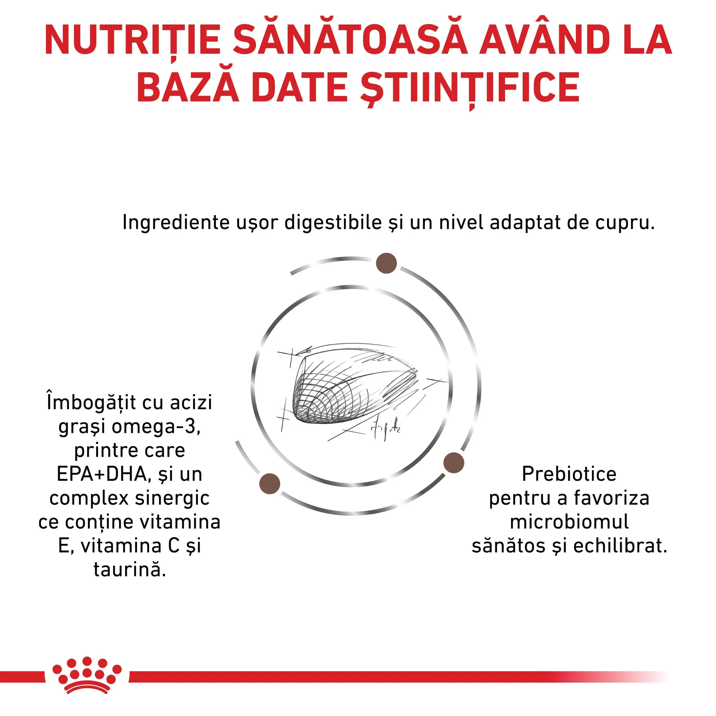 ROYAL CANIN VD Hepatic, XS-XL, dieta veterinara, hrana uscata caini, suport hepatic, 12kg - Image 7