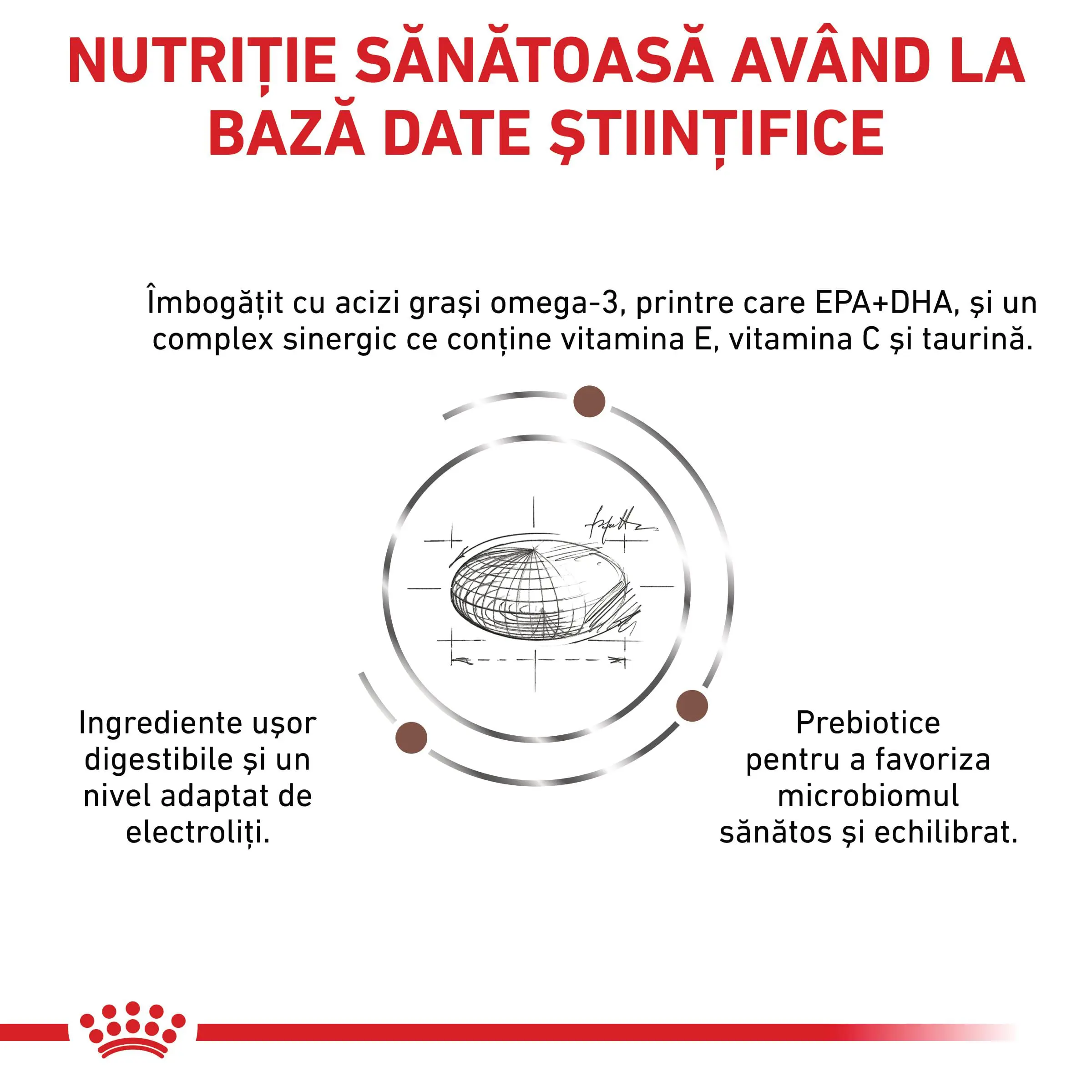 ROYAL CANIN VD Gastrointestinal Low Fat, XS-XL, dieta veterinara, hrana uscata caini, sistem digestiv, 6kg - Image 7