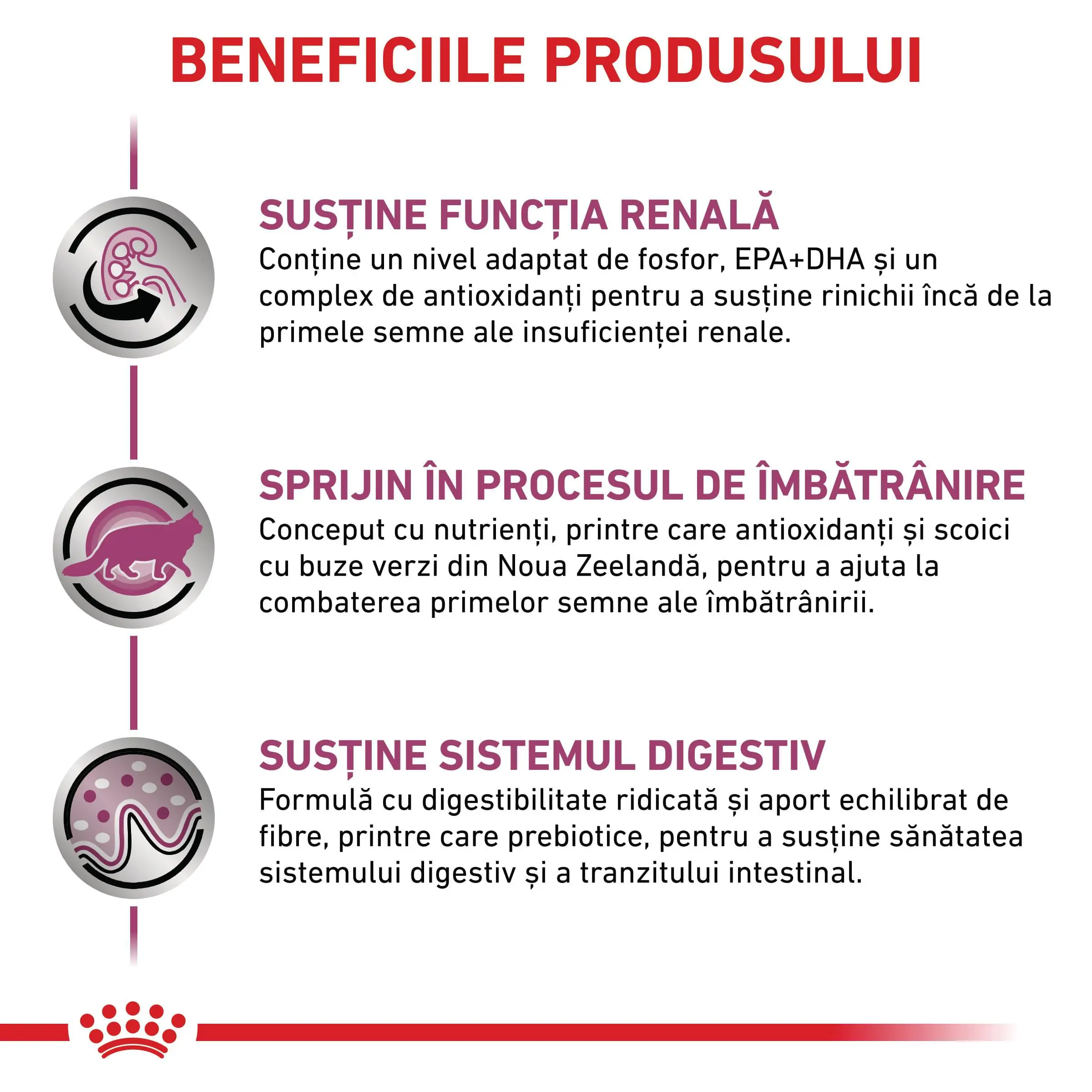 ROYAL CANIN VD Early Renal, dieta veterinara, hrana uscata pisici, sistem renal, 1.5kg - Image 4