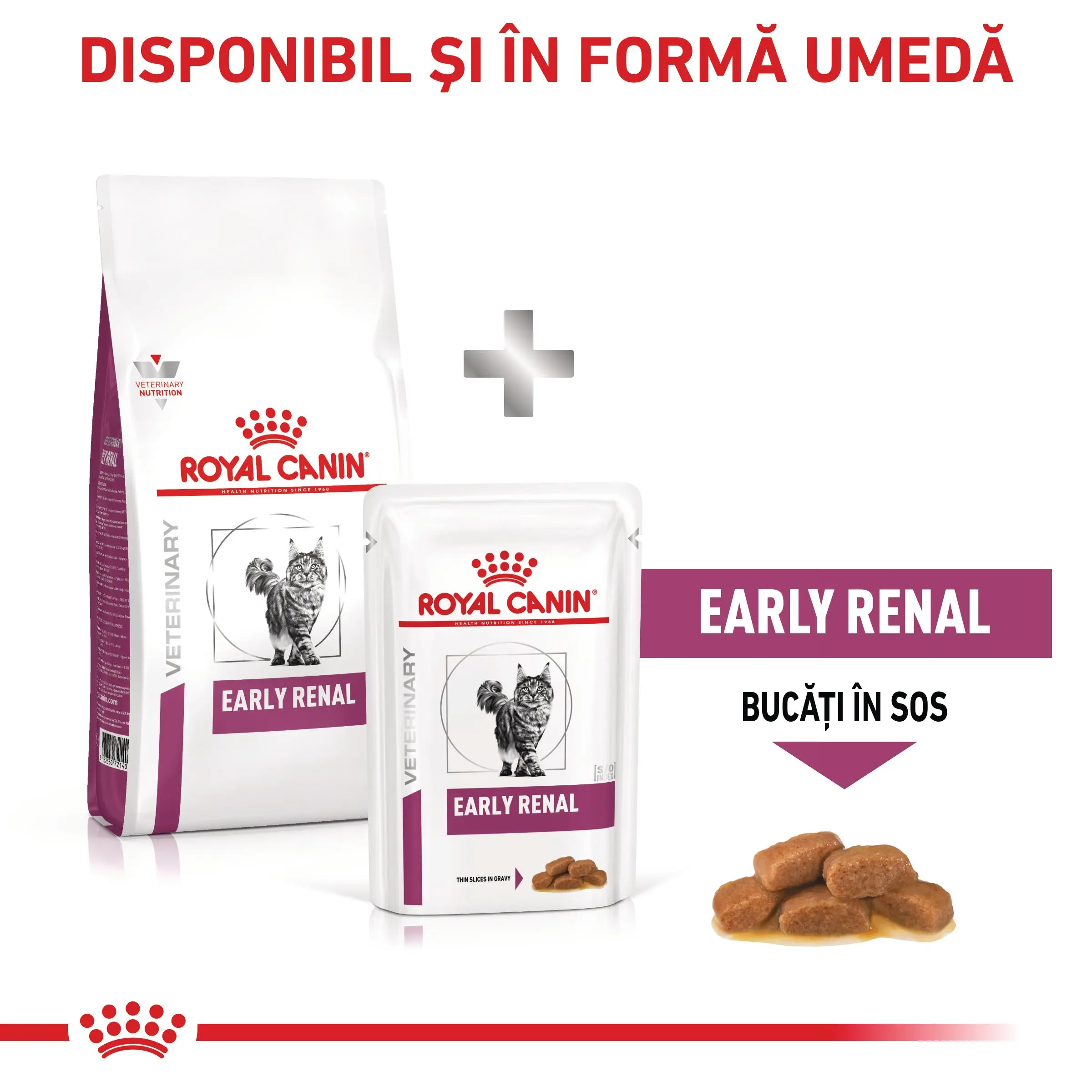 ROYAL CANIN VD Early Renal, dieta veterinara, hrana uscata pisici, sistem renal, 1.5kg - Image 9