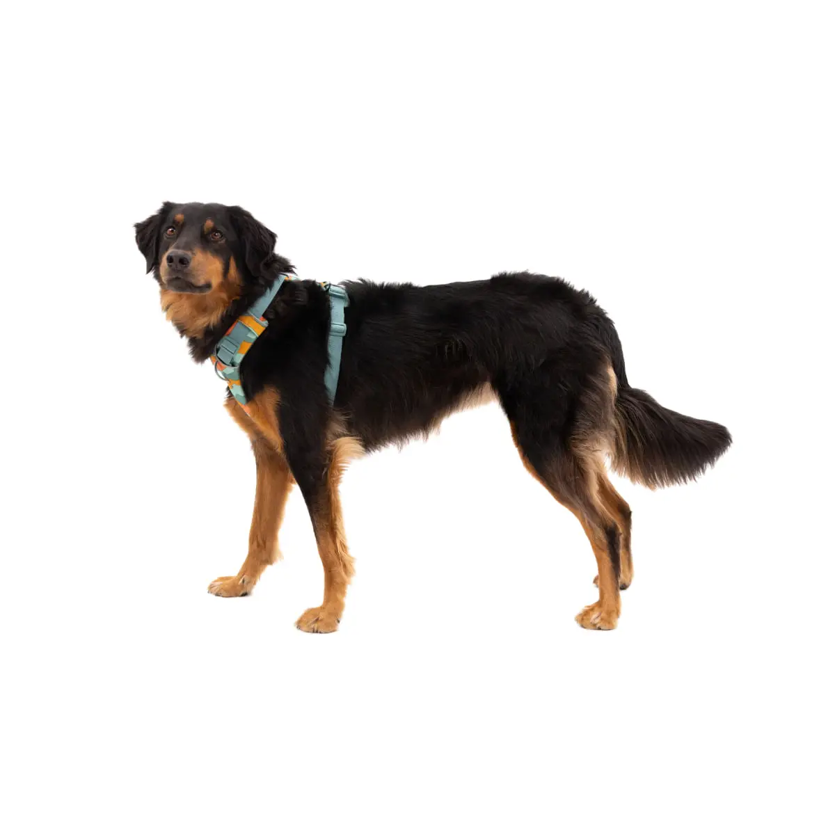 RUFFWEAR Front Rage, ham prindere dubla(piept&spate) dresaj caini, ajustabil, reflectorizant RUFFWEAR Front Rage Spring Mountains, ham prindere dubla(piept&spate) dresaj caini, ajustabil, reflectorizant, verde si portocaliu, XS(33-43cm) - Image 3