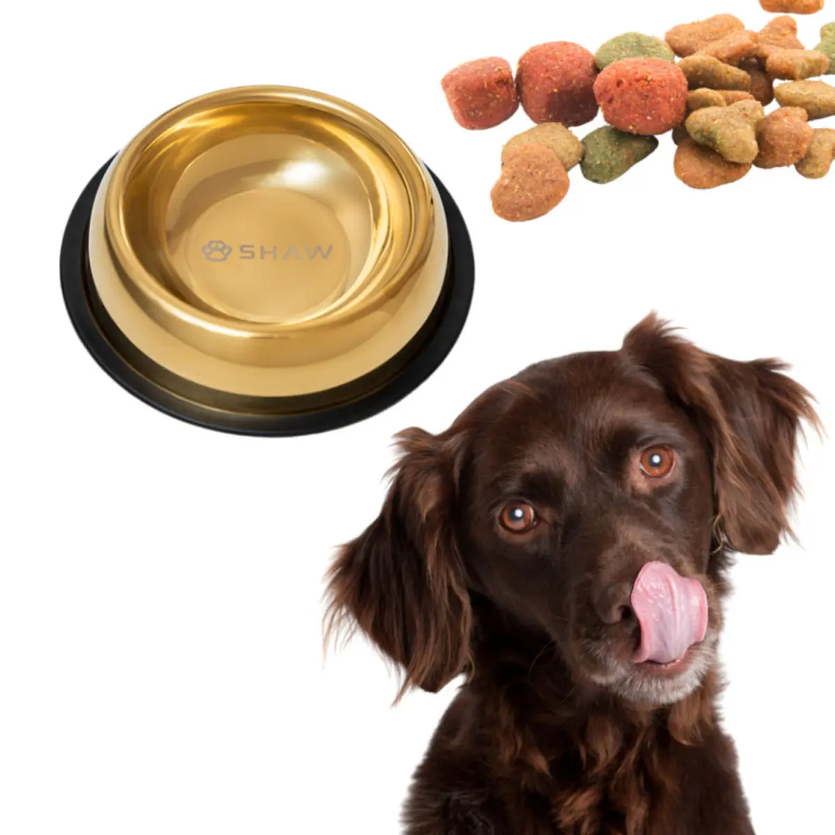 SHAW, castron caini, rotund, antiderapant, inox, auriu, S-L(⌀26cm) - Image 2