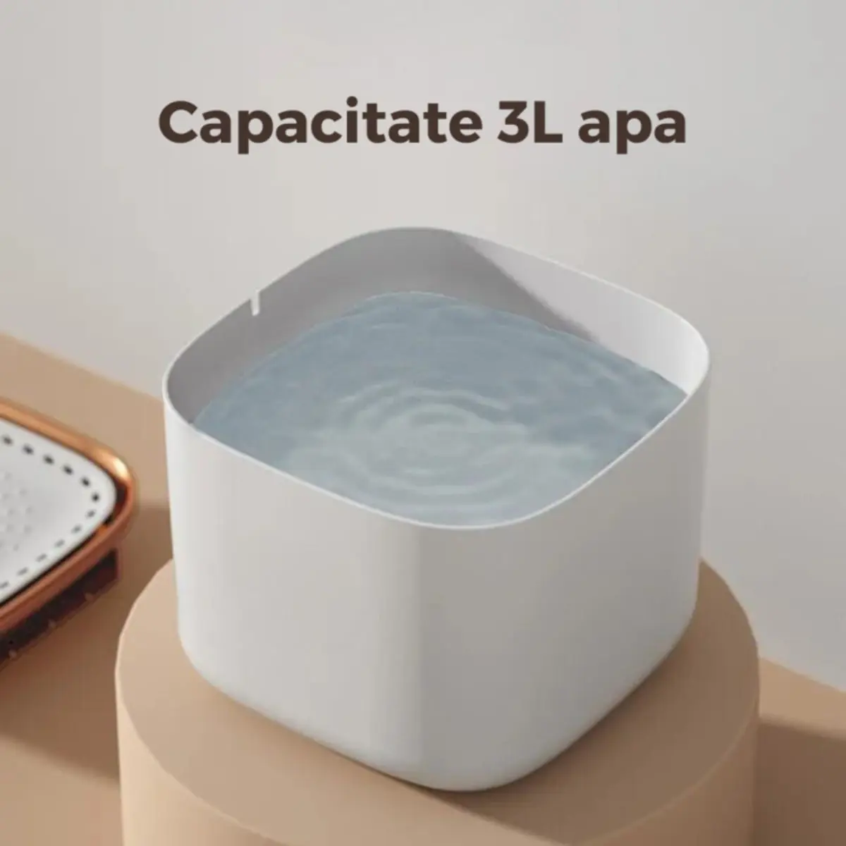 SHAW, fantana caini, patrata, plastic SHAW, fantana caini si pisici, patrata, plastic, alb, XS-S(3l, 18x18cm) - Image 3