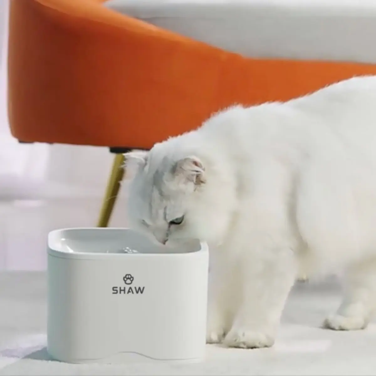 SHAW Smart, fantana pisici, patrata, aplicatie mobila, plastic, XS-S(2.5l) - Image 3