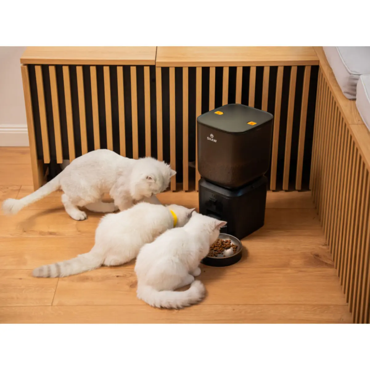 SHAW Smart, hranitor automat caini, 2 boluri rotunde, programabil, aplicatie mobila, PVC SHAW Smart, hranitor automat caini si pisici, 2 boluri rotunde, programabil, aplicatie mobila, PVC, negru, XS-S(7l) - Image 3