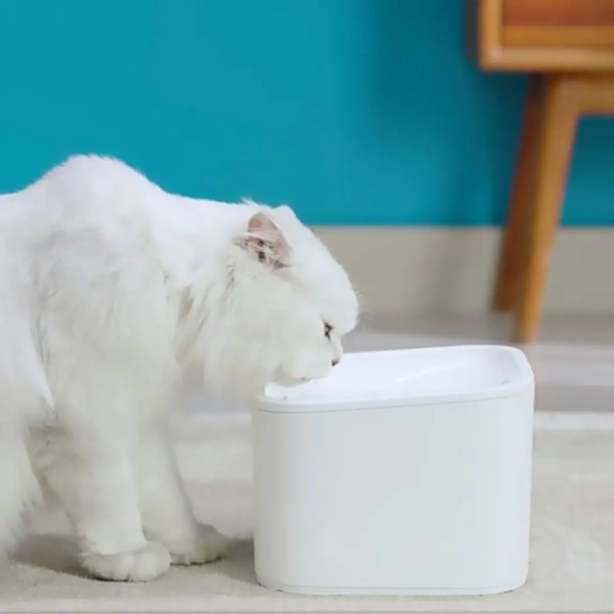 SHAW Smart, fantana pisici, patrata, aplicatie mobila, plastic, XS-S(2.5l) - Image 4