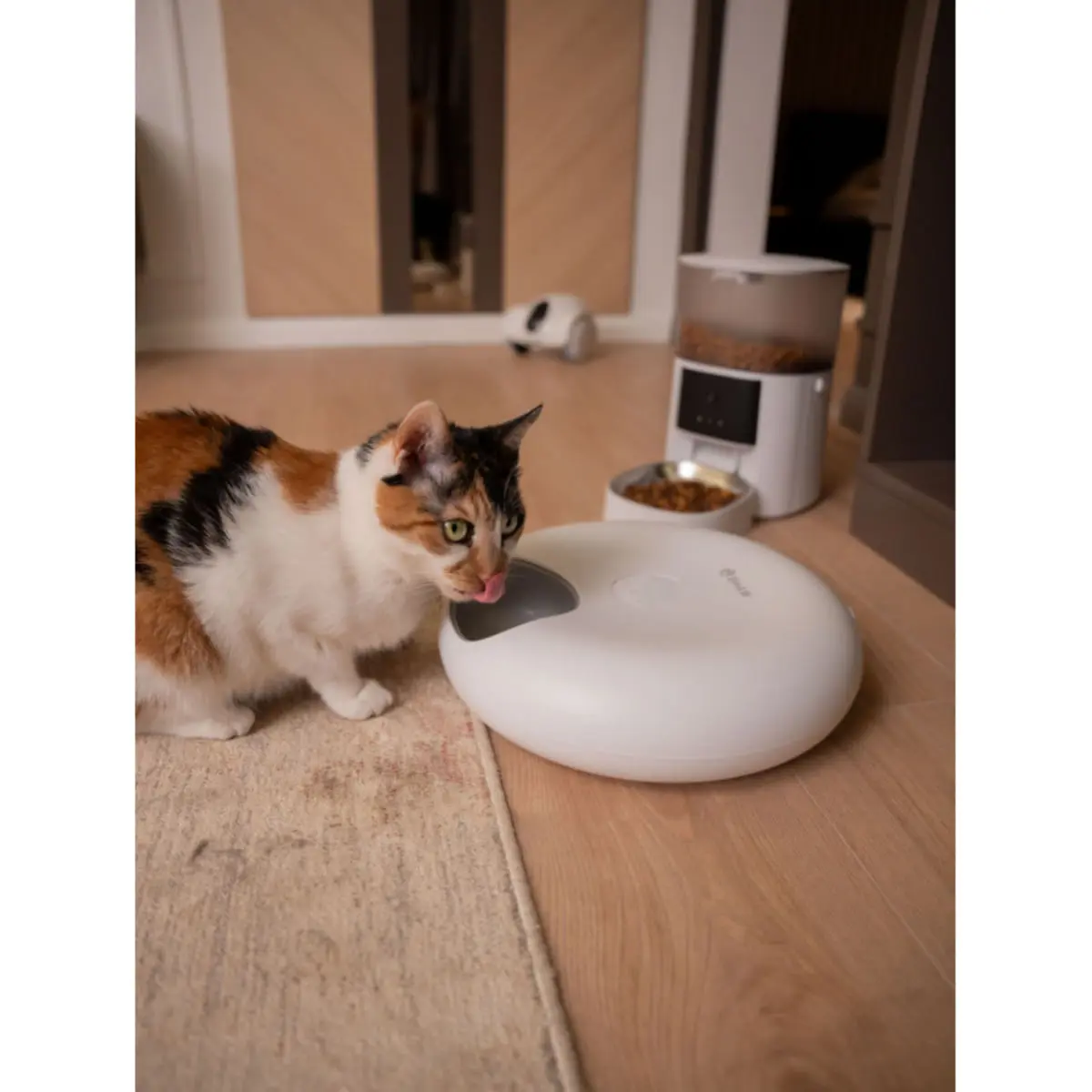 SHAW Smart 6, hranitor automat caini, 1 bol asimetric, programabil, aplicatie mobila, cu racire (acumulator frigorific), plastic SHAW Smart 6, hranitor automat caini si pisici, 1 bol asimetric, programabil, aplicatie mobila, cu racire (acumulator frigori - Image 4