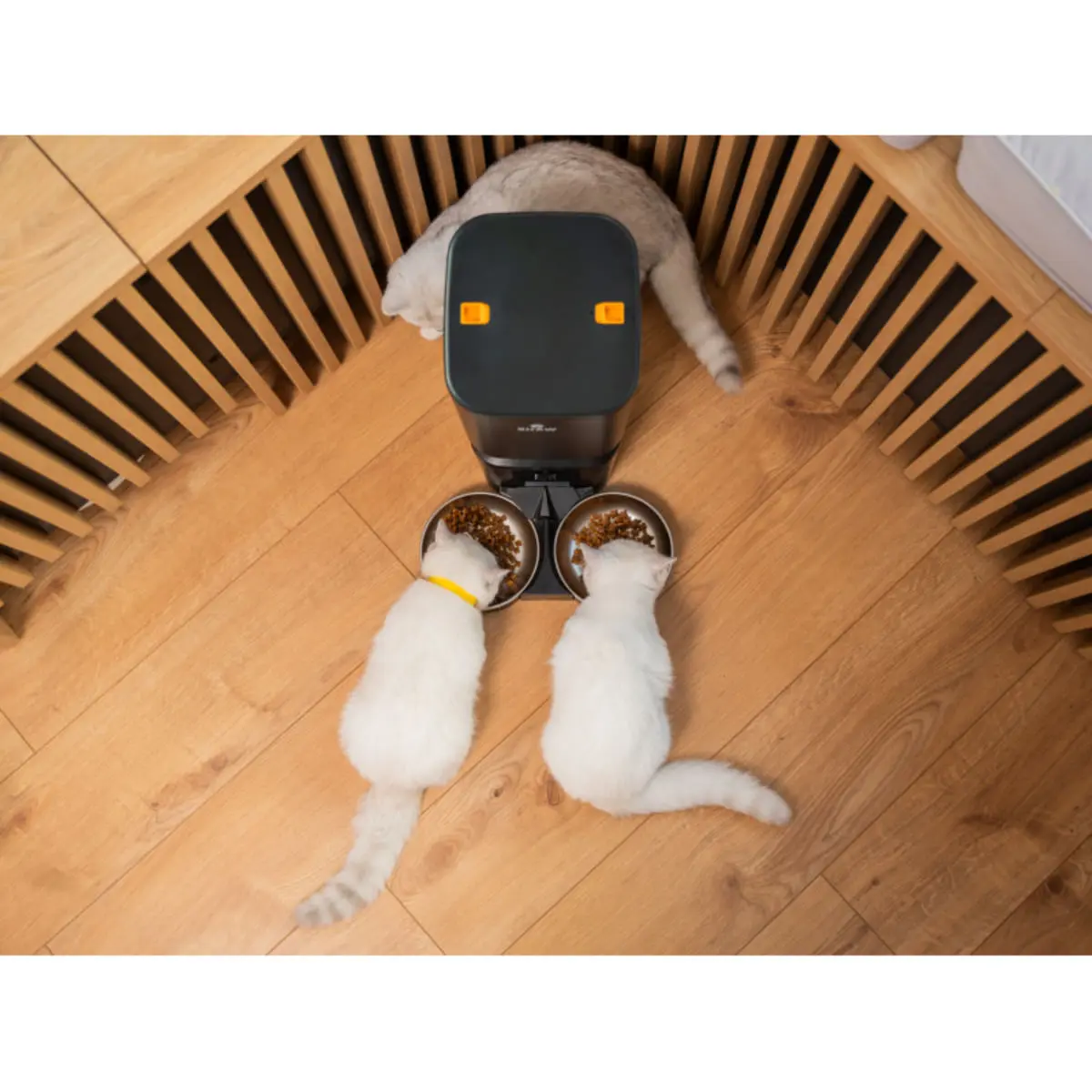 SHAW Smart, hranitor automat caini, 2 boluri rotunde, programabil, aplicatie mobila, PVC SHAW Smart, hranitor automat caini si pisici, 2 boluri rotunde, programabil, aplicatie mobila, PVC, negru, XS-S(7l) - Image 4