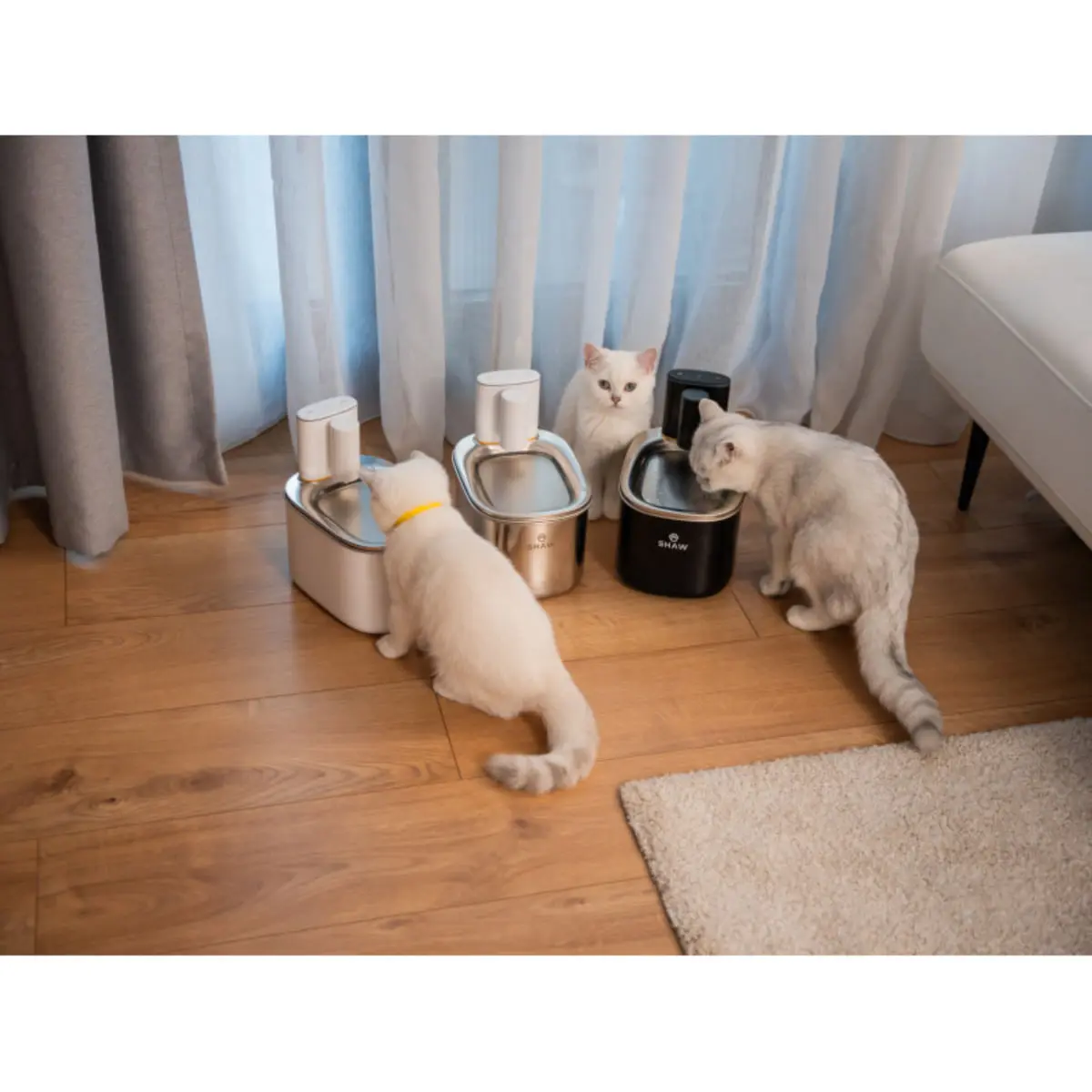 SHAW Smart PRO V2, fantana caini, dreptunghiulara, aplicatie mobila, inox SHAW Smart PRO V2, fantana caini si pisici, dreptunghiulara, aplicatie mobila, inox, alb, XS-S(3.5l) - Image 4