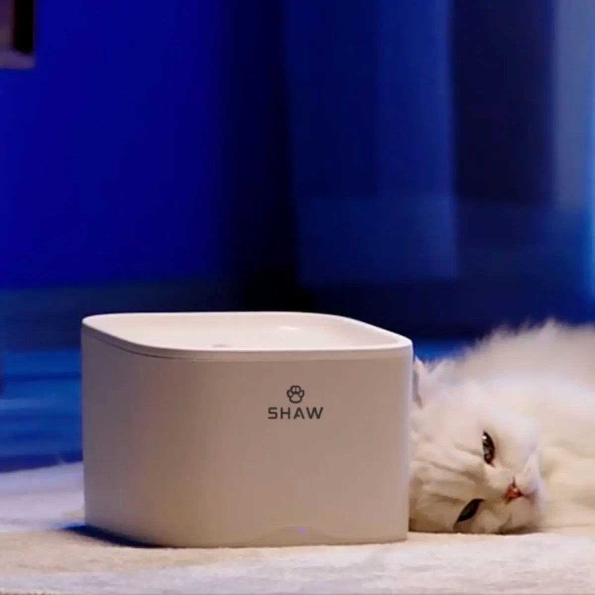 SHAW Smart, fantana pisici, patrata, aplicatie mobila, plastic, XS-S(2.5l) - Image 5