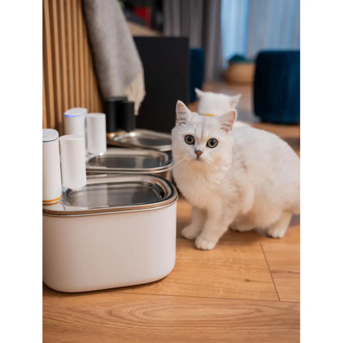 SHAW Smart PRO V2, fantana caini, dreptunghiulara, aplicatie mobila, inox SHAW Smart PRO V2, fantana caini si pisici, dreptunghiulara, aplicatie mobila, inox, alb, XS-S(3.5l) - Image 5