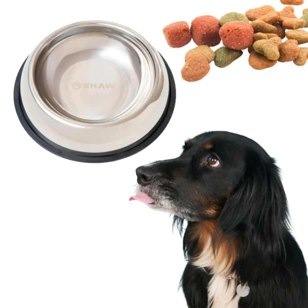 SHAW, castron caini, rotund, antiderapant, inox, argintiu, S-L(⌀26cm)