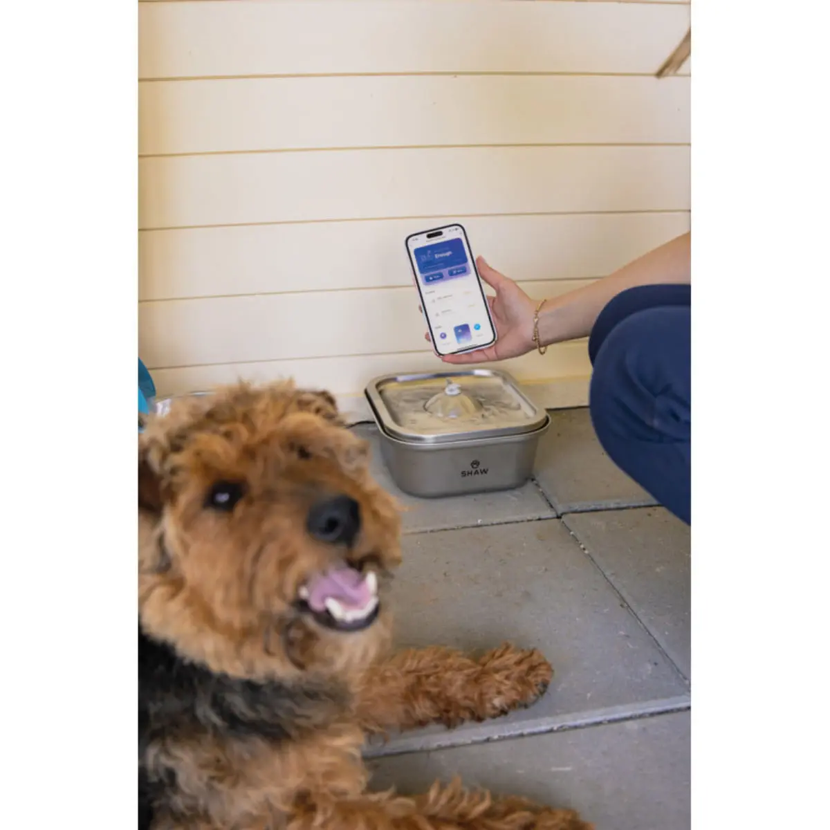 SHAW Clasic 8, fantana caini, patrat, aplicatie mobila, inox SHAW Clasic 8, fantana caini si pisici, patrat, aplicatie mobila, inox, argintiu, XS-M(4l) - Image 6