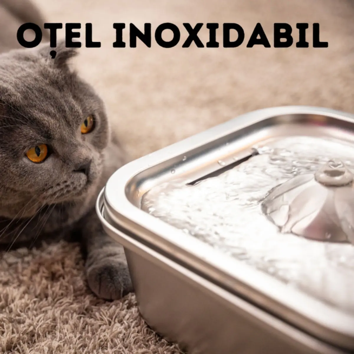 SHAW Clasic 8, fantana caini, patrat, aplicatie mobila, inox SHAW Clasic 8, fantana caini si pisici, patrat, aplicatie mobila, inox, argintiu, XS-M(4l) - Image 7