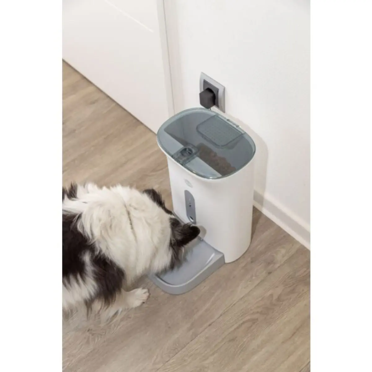 TRIXIE Smart TX820, hranitor automat caini, 1 bol patrat, programabil, aplicatie mobila, plastic TRIXIE Smart TX820, hranitor automat caini si pisici, 1 bol patrat, programabil, aplicatie mobila, plastic, alb si gri, XS-S(4.5l, ⌀1.5cm, 38x19cm) - Image 7