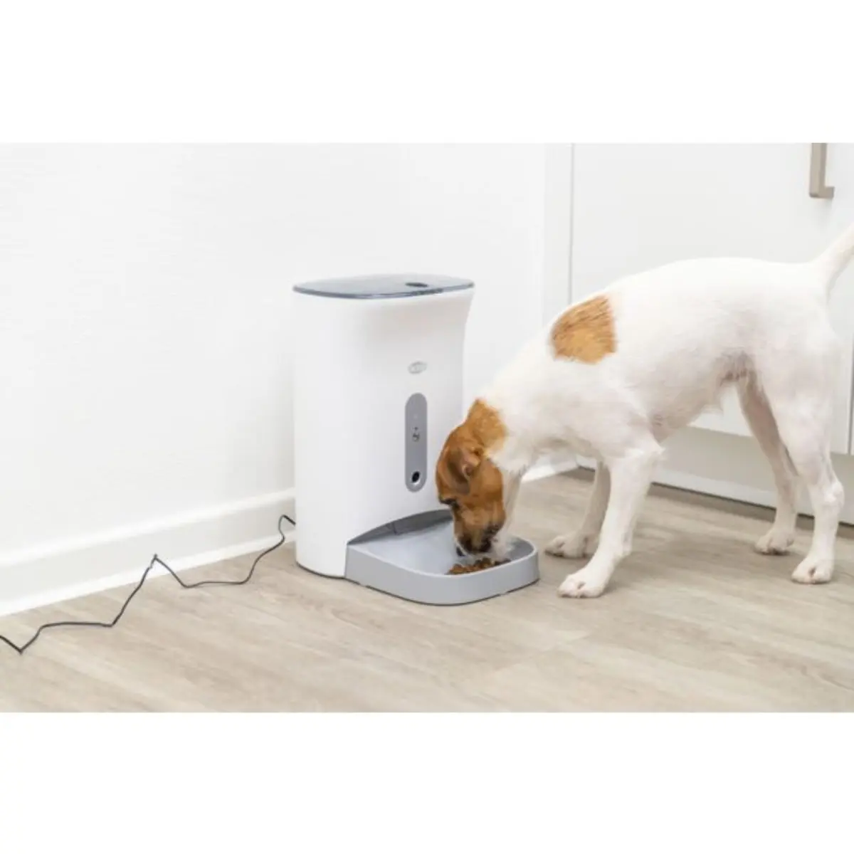 TRIXIE Smart TX820, hranitor automat caini, 1 bol patrat, programabil, aplicatie mobila, plastic TRIXIE Smart TX820, hranitor automat caini si pisici, 1 bol patrat, programabil, aplicatie mobila, plastic, alb si gri, XS-S(4.5l, ⌀1.5cm, 38x19cm) - Image 8