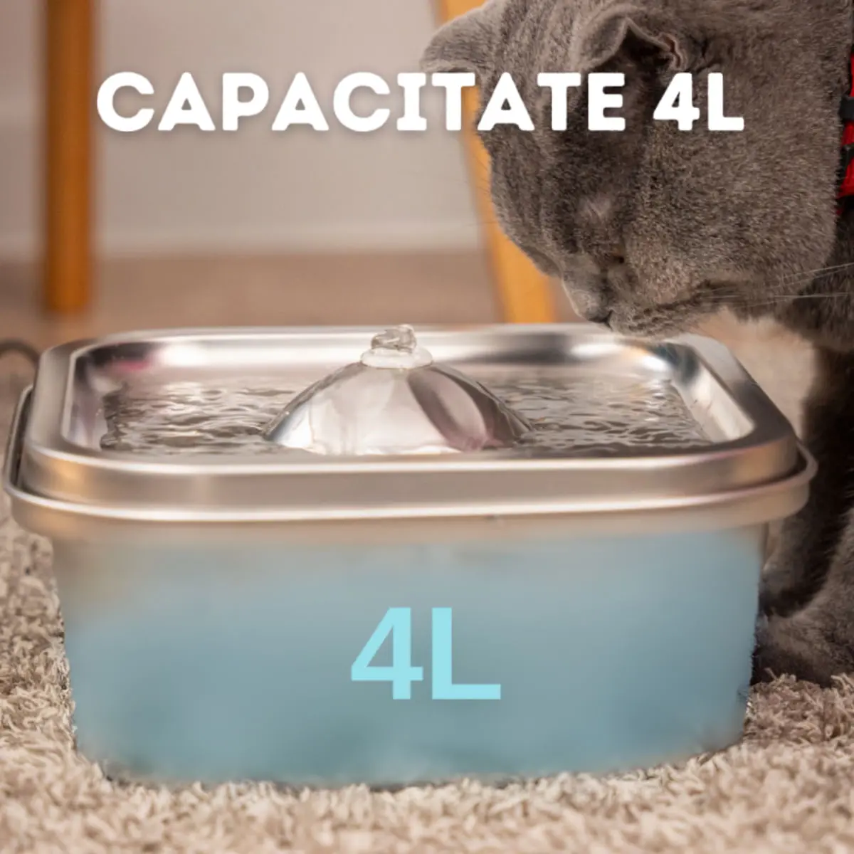 SHAW Clasic 8, fantana caini, patrat, aplicatie mobila, inox SHAW Clasic 8, fantana caini si pisici, patrat, aplicatie mobila, inox, argintiu, XS-M(4l) - Image 9