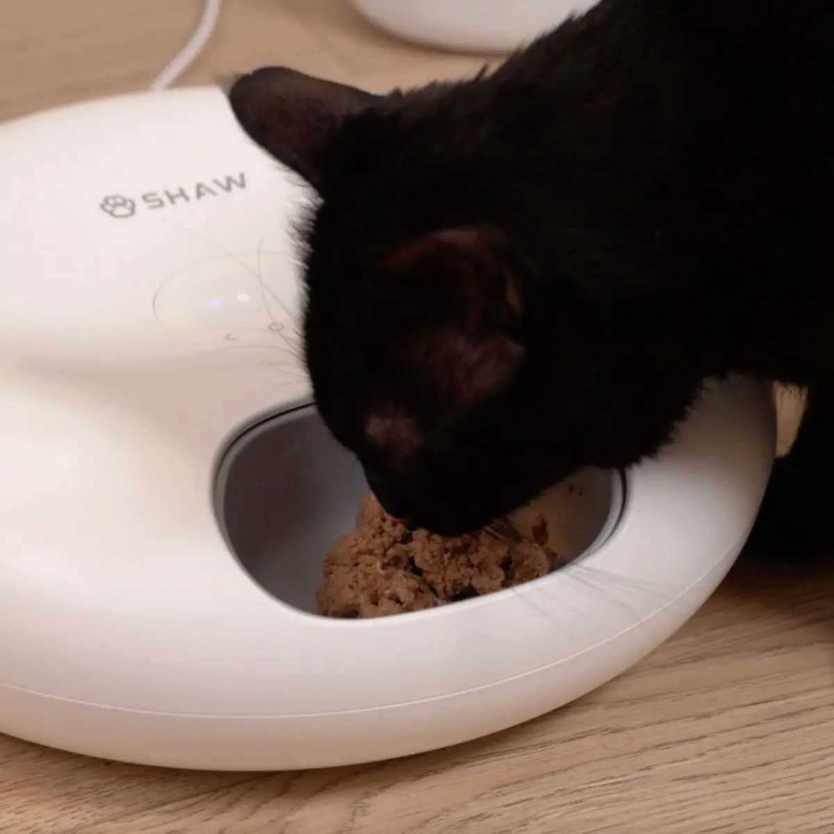 SHAW Smart 6, hranitor automat caini, 1 bol asimetric, programabil, aplicatie mobila, cu racire (acumulator frigorific), plastic SHAW Smart 6, hranitor automat caini si pisici, 1 bol asimetric, programabil, aplicatie mobila, cu racire (acumulator frigori - Image 10