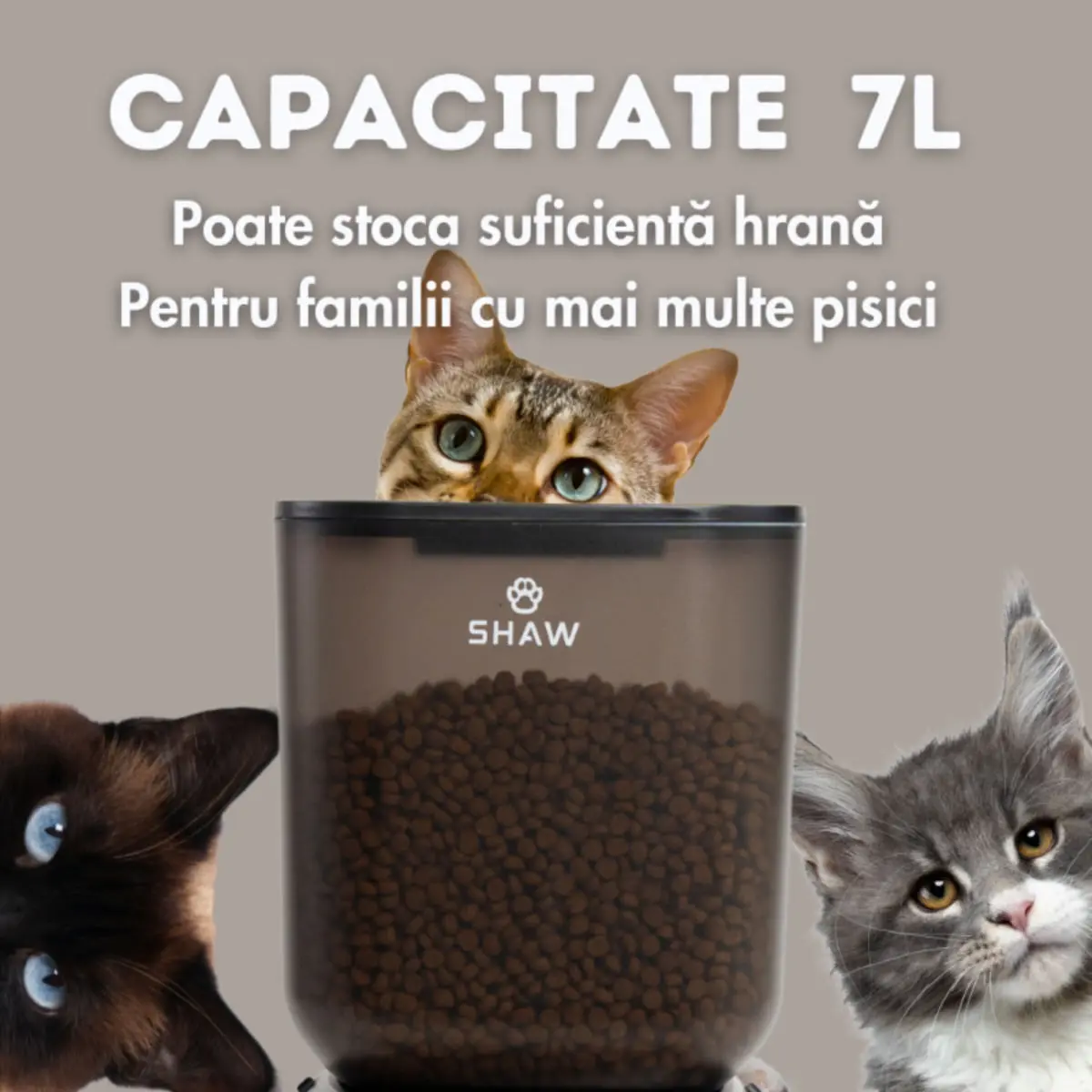SHAW Smart, hranitor automat caini, 2 boluri rotunde, programabil, aplicatie mobila, PVC SHAW Smart, hranitor automat caini si pisici, 2 boluri rotunde, programabil, aplicatie mobila, PVC, negru, XS-S(7l) - Image 11