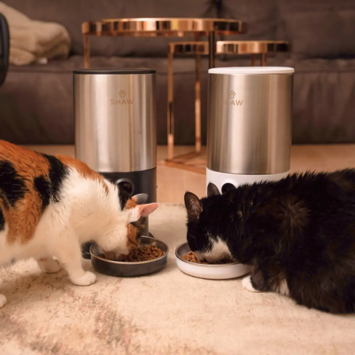 SHAW Smart PRO V3, hranitor automat caini, 1 bol rotund, programabil, aplicatie mobila, PVC SHAW Smart PRO V3, hranitor automat caini si pisici, 1 bol rotund, programabil, aplicatie mobila, PVC, alb, XS-S(5l) - Image 7