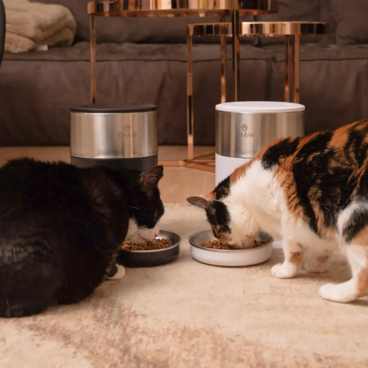 SHAW PRO V3 Mini, hranitor automat caini, 1 bol rotund, programabil, aplicatie mobila, PVC SHAW PRO V3 Mini, hranitor automat caini si pisici, 1 bol rotund, programabil, aplicatie mobila, PVC, negru, XS-S(2l) - Image 4