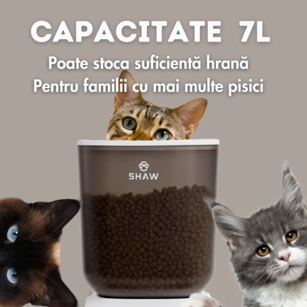 SHAW Smart, hranitor automat caini, 2 boluri rotunde, programabil, aplicatie mobila, PVC SHAW Smart, hranitor automat caini si pisici, 2 boluri rotunde, programabil, aplicatie mobila, PVC, alb, XS-S(7l) - Image 9