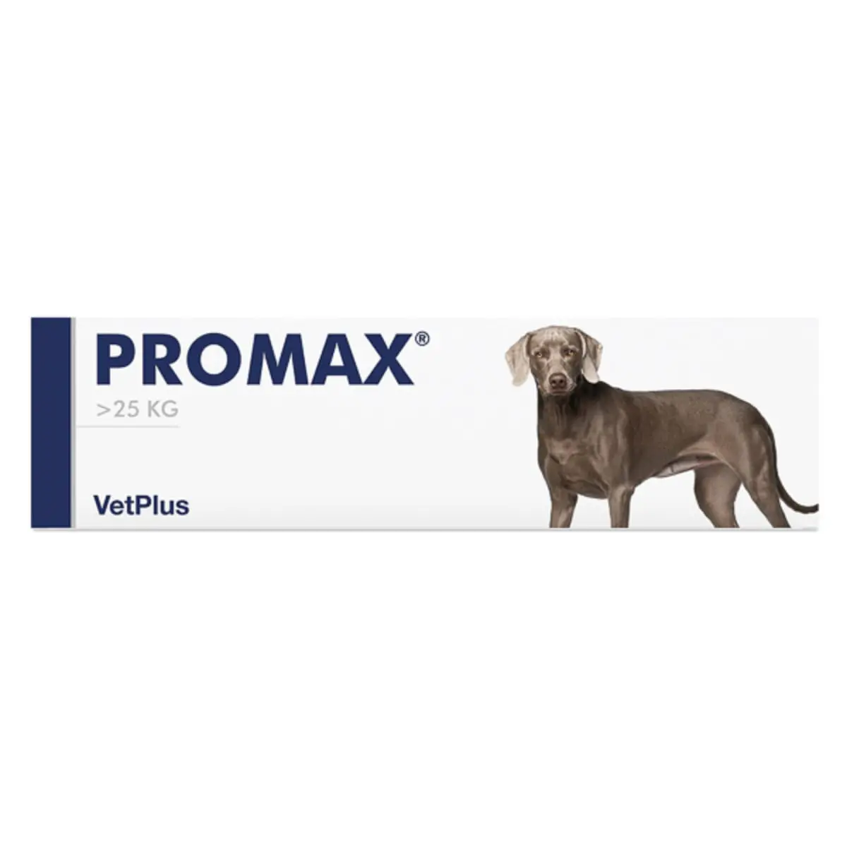 VETPLUS Promax Large Breed, supliment sistem digestiv & probiotice caini, pasta orala VETPLUS Promax Large Breed, L-XL, supliment sistem digestiv & probiotice caini, seringa gradata, 30ml pasta orala