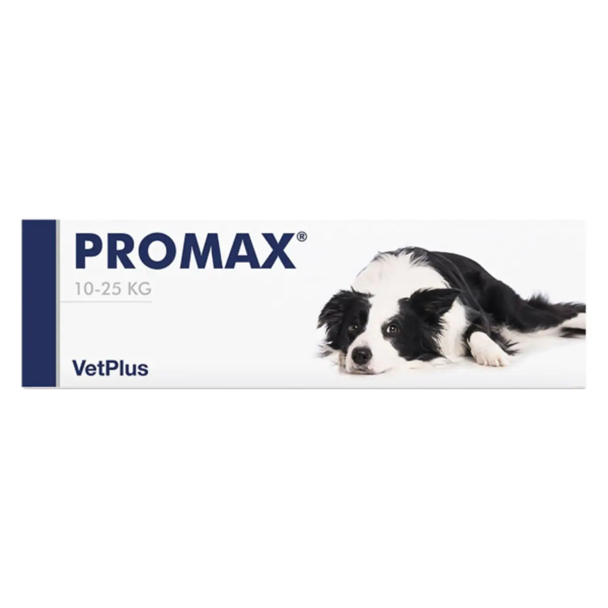VETPLUS Promax Medium Breed, supliment sistem digestiv & probiotice caini, pasta orala VETPLUS Promax Medium Breed, M, supliment sistem digestiv & probiotice caini, seringa gradata, 18ml pasta orala - Image 2