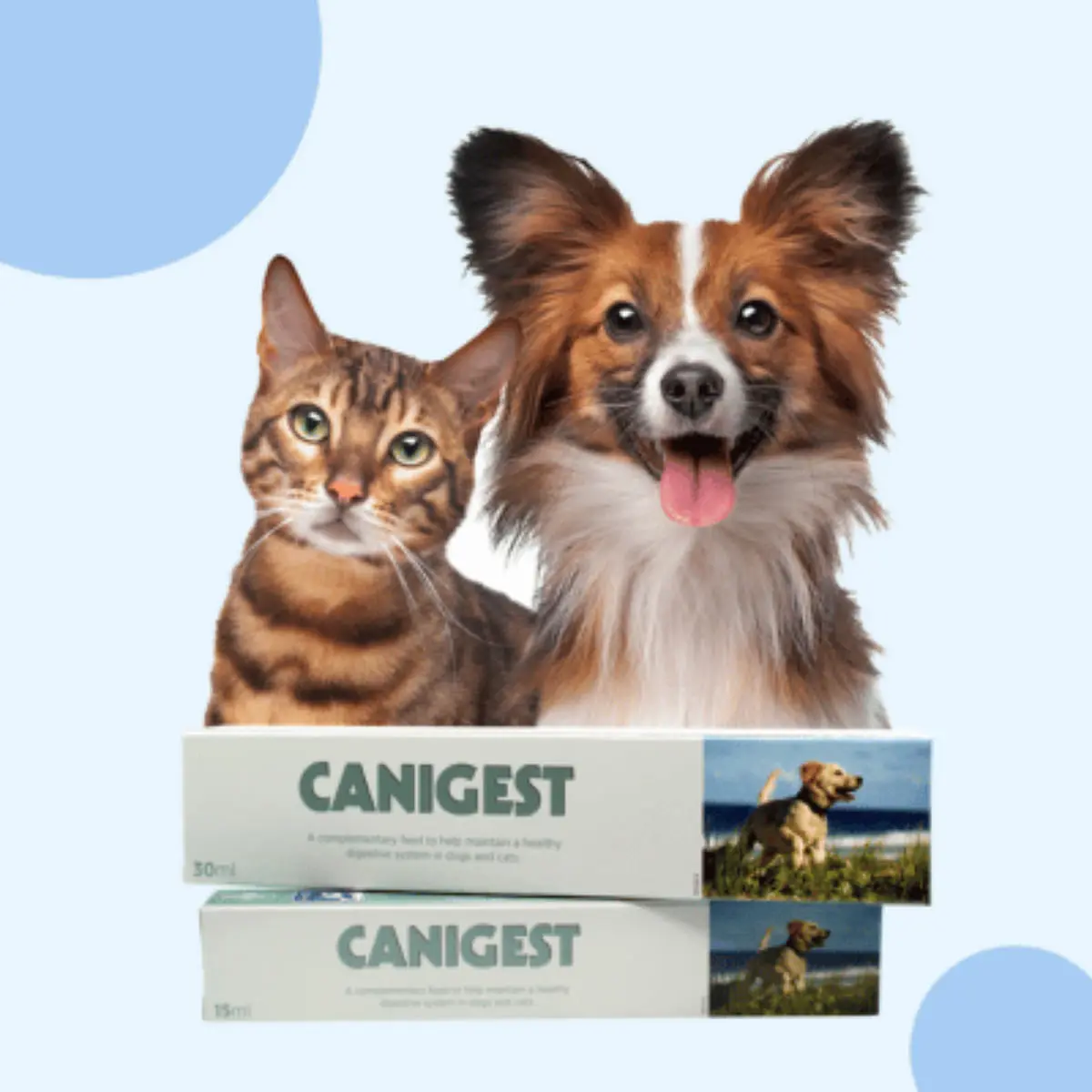 TRM Canigest Oral Paste, supliment sistem digestiv & probiotice caini, pasta orala TRM Canigest Oral Paste, XS-XL, supliment sistem digestiv & probiotice caini si pisici, flacon, 15ml pasta orala - Image 3