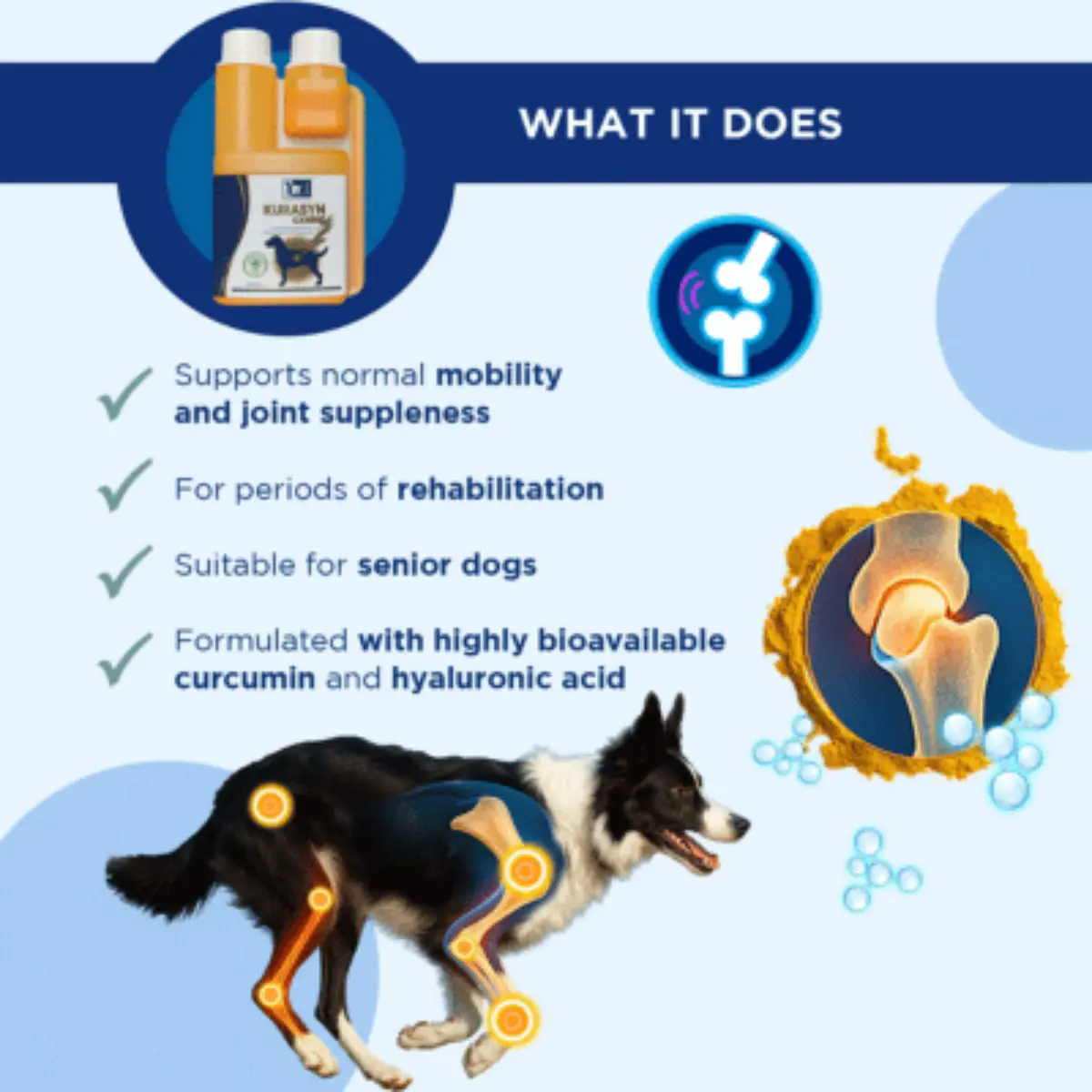 TRM Kurasyn, supliment sistem articular caini, suspensie orala TRM Kurasyn, XS-XL, supliment sistem articular caini, flacon, 240ml suspensie orala - Image 4