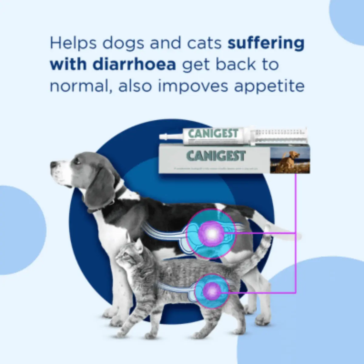 TRM Canigest Oral Paste, supliment sistem digestiv & probiotice caini, pasta orala TRM Canigest Oral Paste, XS-XL, supliment sistem digestiv & probiotice caini si pisici, flacon, 15ml pasta orala - Image 5