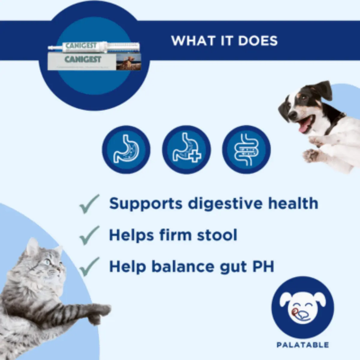 TRM Canigest Oral Paste, supliment sistem digestiv & probiotice caini, pasta orala TRM Canigest Oral Paste, XS-XL, supliment sistem digestiv & probiotice caini si pisici, flacon, 30ml pasta orala - Image 4