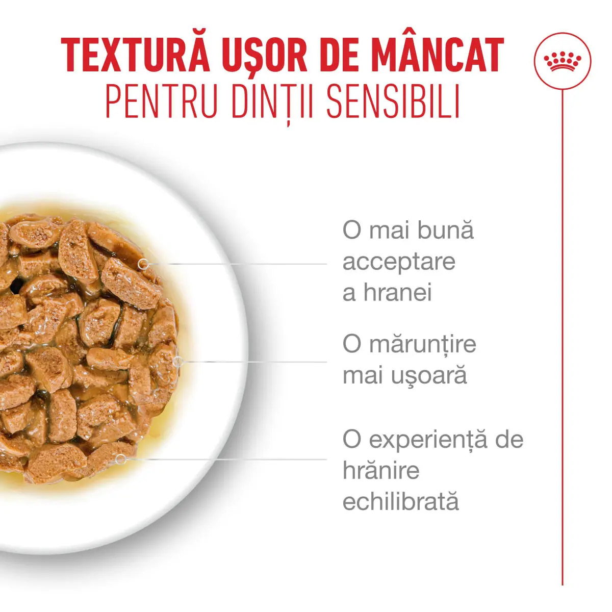 ROYAL CANIN Feline Health Nutrition Healthy Ageing 11+, plic hrana umeda pisici senior, (in sos), bax, 85g x 12buc - Image 6