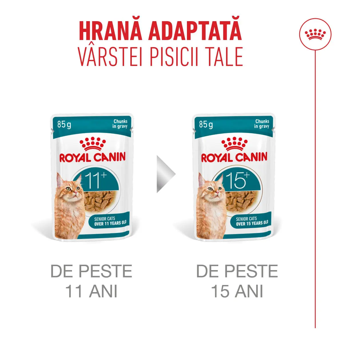 ROYAL CANIN Feline Health Nutrition Healthy Ageing 11+, plic hrana umeda pisici senior, (in sos), bax, 85g x 12buc - Image 9