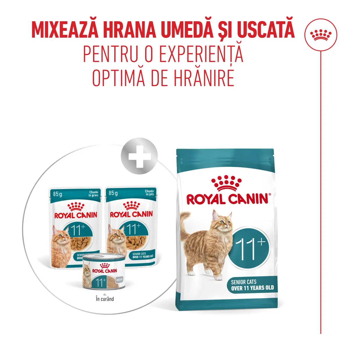 ROYAL CANIN Feline Health Nutrition Healthy Ageing 11+, plic hrana umeda pisici senior, (in sos), bax, 85g x 12buc - Image 10