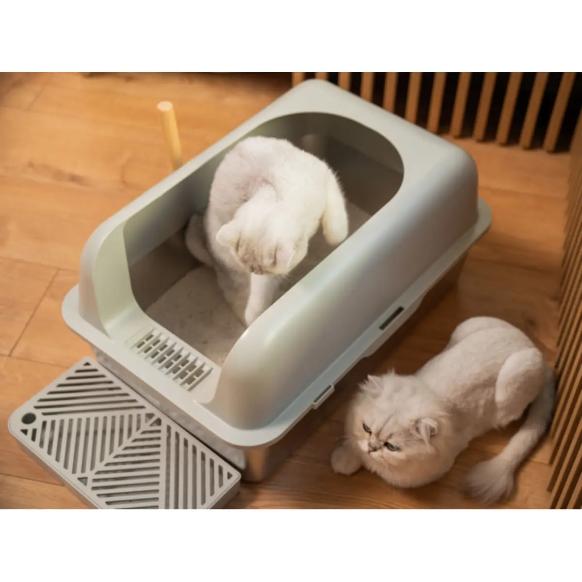 SHAW XL prag & lopatica incluse, litiera pisici, cu rama, auto-curatare, aplicatie mobila, gri, 60.8x40.8x29.3 cm - Image 5