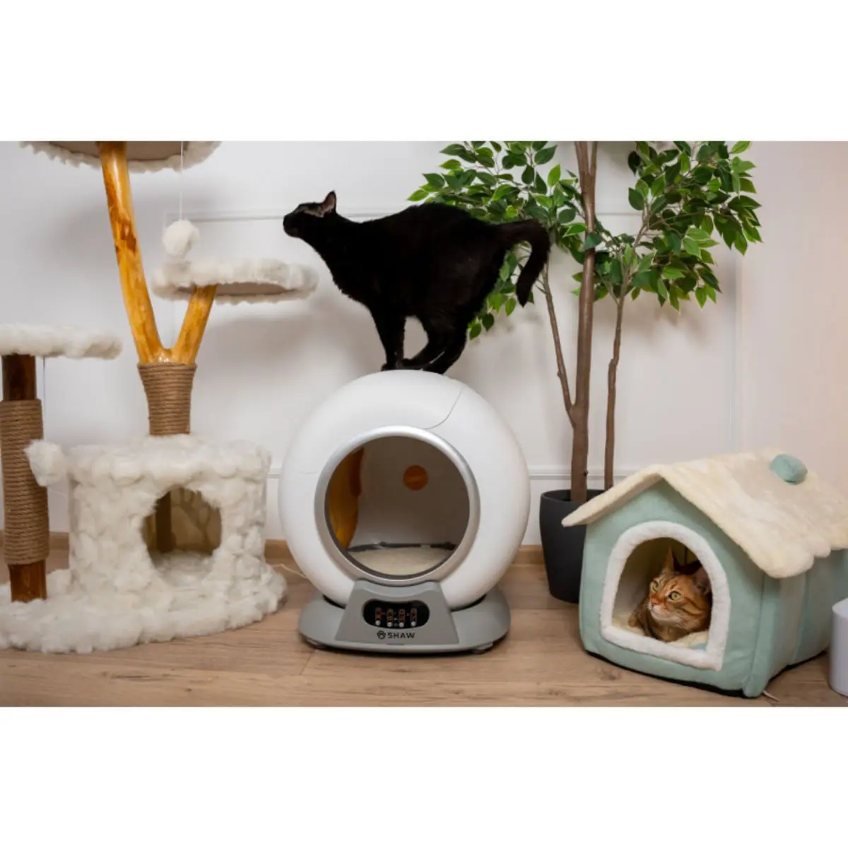 SHAW Smart V2, litiera automata pisici, cu filtru, auto-curatare, aplicatie mobila, sterilizare, alb, ⌀24.5x48x50.1 cm - Image 5