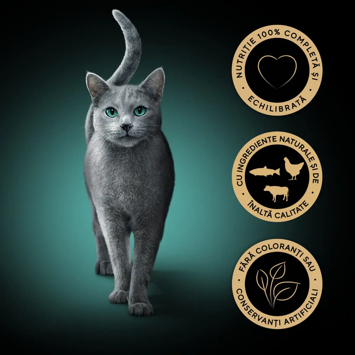 SHEBA Fresh Cuisine Taste of Paris Selectie Mixta cu Vita, Peste si Ficat, plic hrana umeda pisici, (in sos), multipack, 50g x 6buc - Image 5