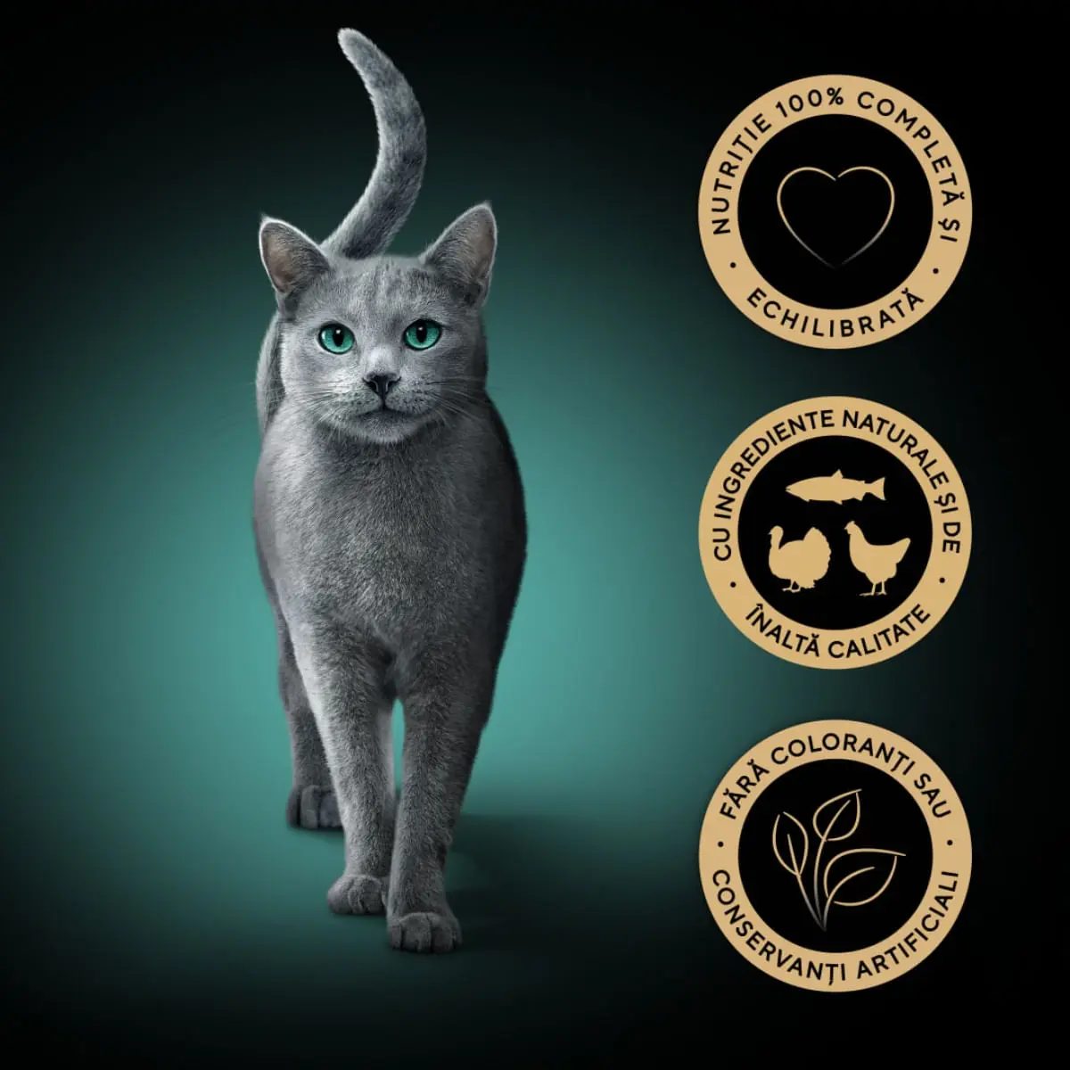 SHEBA Fresh & Fine Selectie mixt cu Pui, Somon si Curcan, plic hrana umeda pisici, (in sos), multipack, 50g x 6buc - Image 5