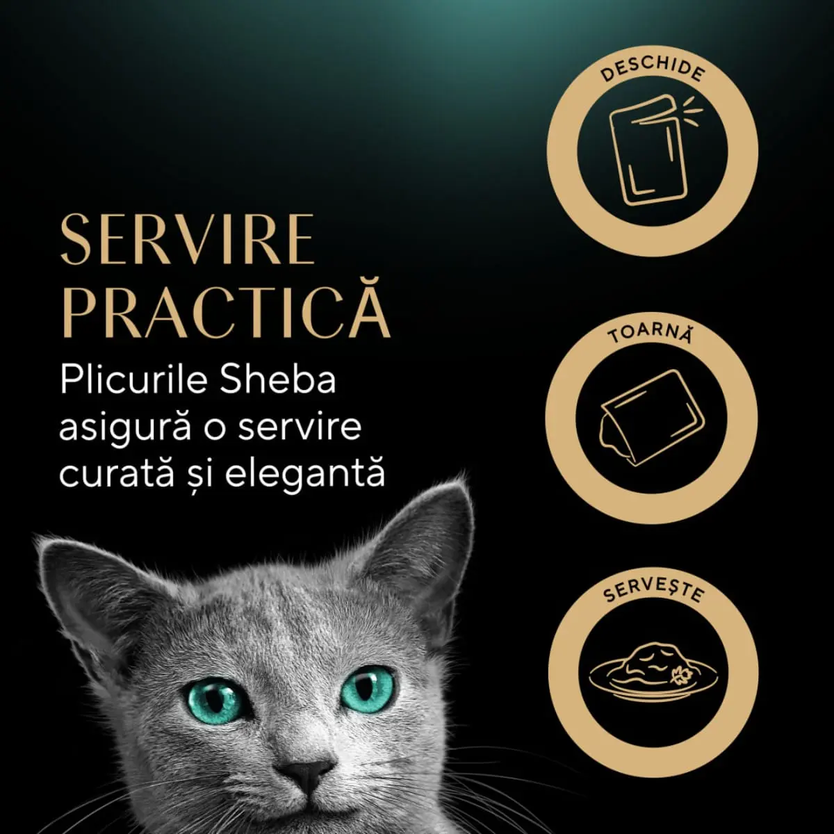 SHEBA Fresh & Fine Selectie mixt cu Pui, Somon si Curcan, plic hrana umeda pisici, (in sos), multipack, 50g x 6buc - Image 6