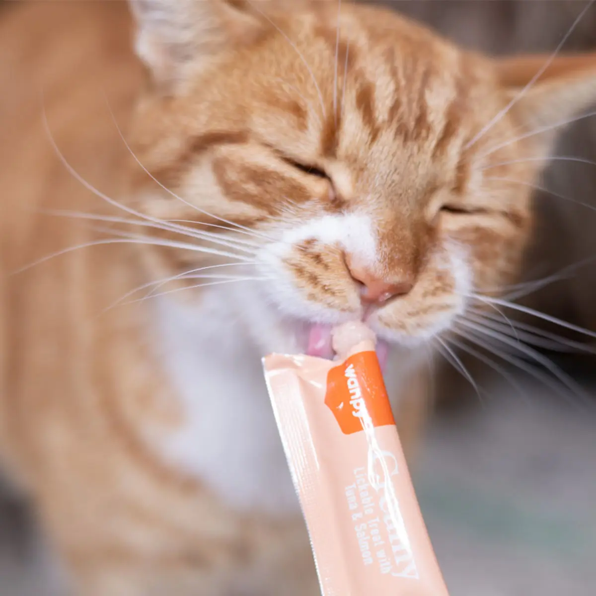 WANPY Creamy Treat, Ton si Somon, punguta recompense pisici, (piure), 700g - Image 3