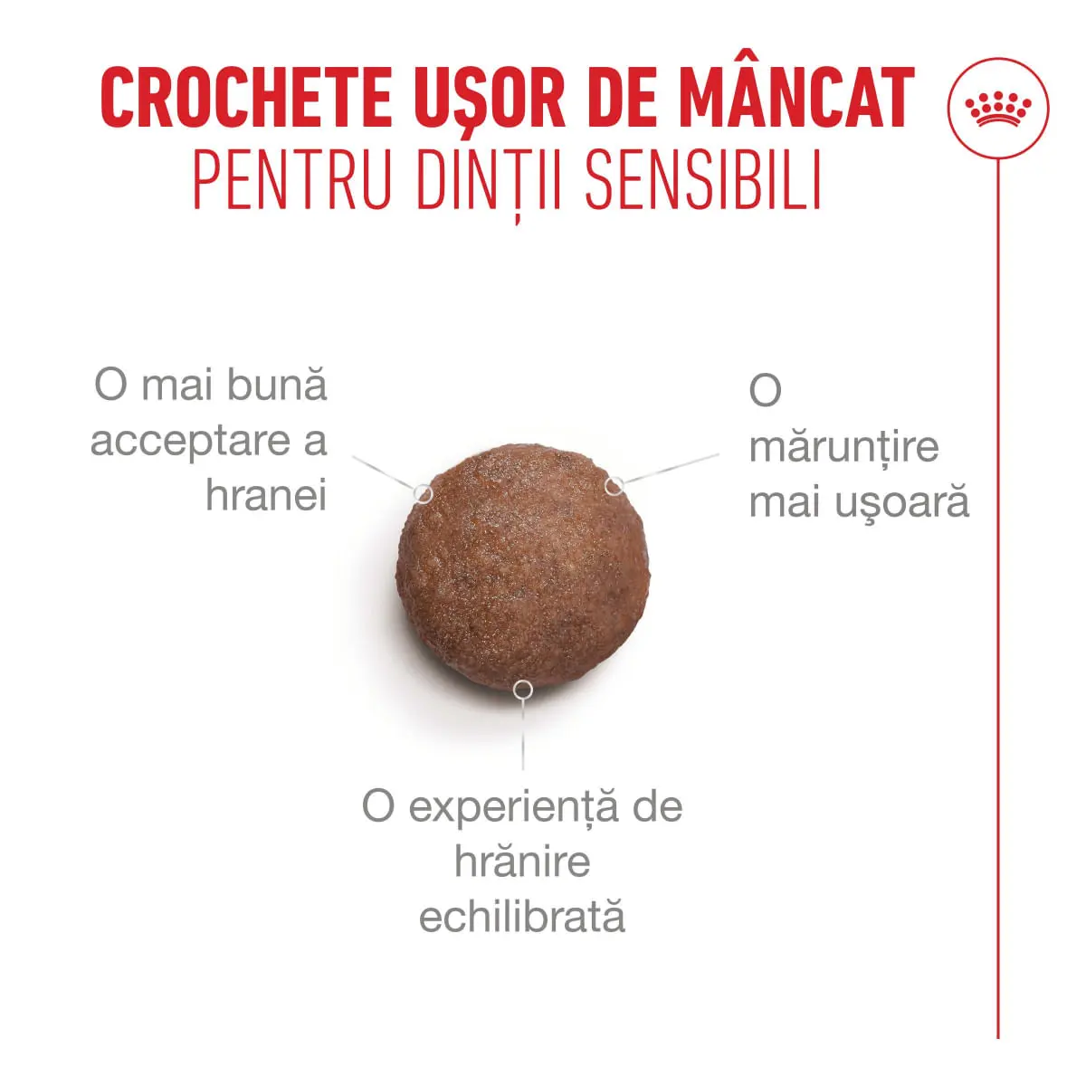 ROYAL CANIN Feline Health Nutrition Ageing Sterilised 11+, hrana uscata pisici senior sterilizate, managementul greutatii, 400g - Image 6