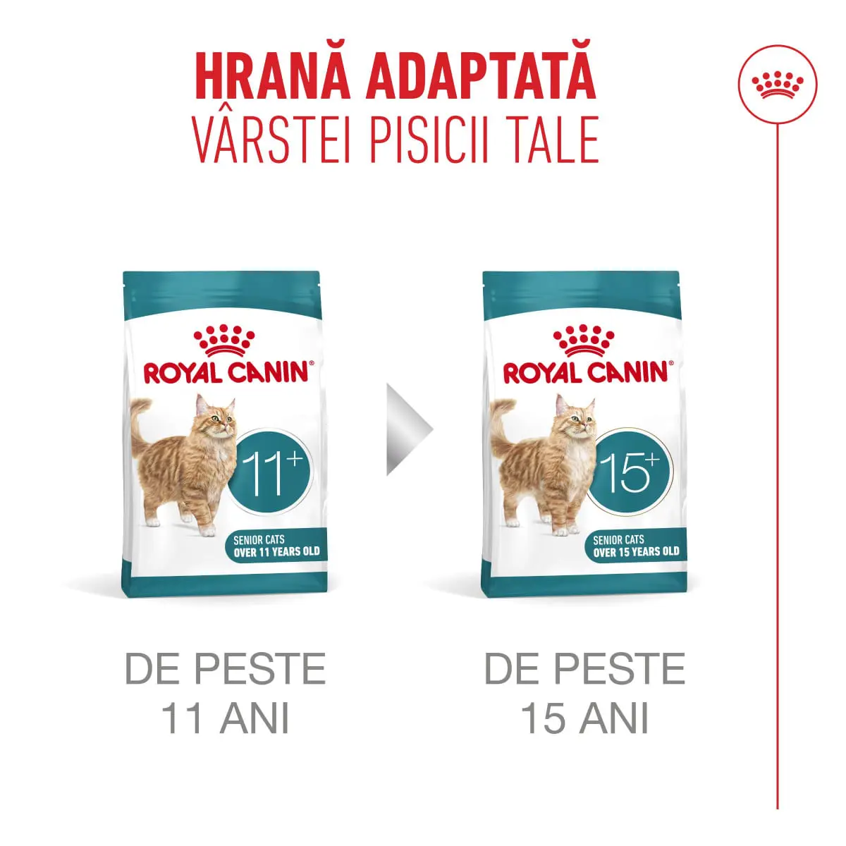 ROYAL CANIN Feline Health Nutrition Ageing Sterilised 11+, hrana uscata pisici senior sterilizate, managementul greutatii, 400g - Image 10
