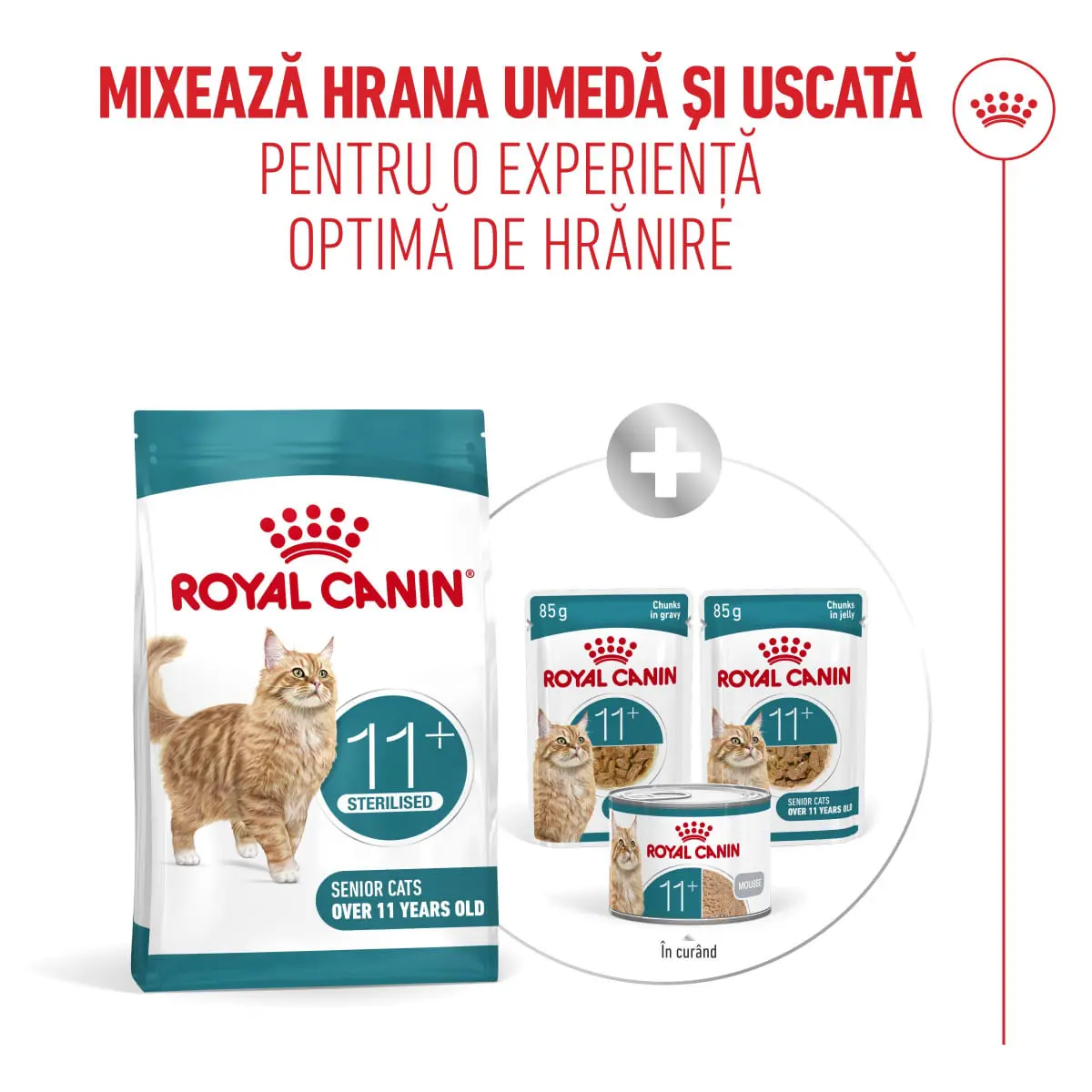 ROYAL CANIN Feline Health Nutrition Ageing Sterilised 11+, hrana uscata pisici senior sterilizate, managementul greutatii, 400g - Image 11